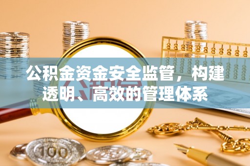 泰顺公积金资金安全监管，构建透明、高效的管理体系