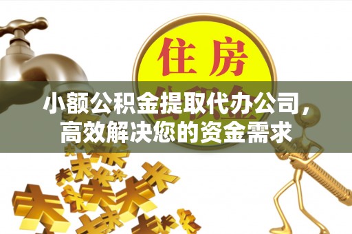 泰顺小额公积金提取代办公司，高效解决您的资金需求