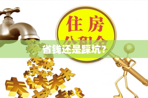 泰顺省钱还是踩坑？