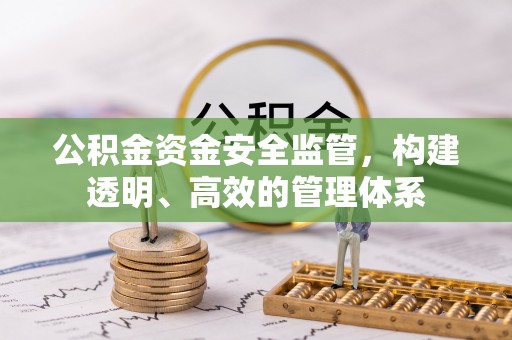 泰顺公积金资金安全监管，构建透明、高效的管理体系