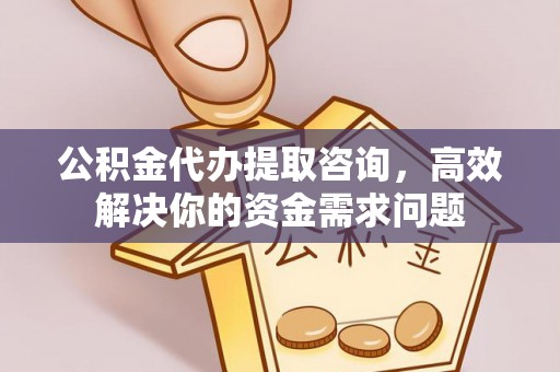 泰顺公积金代办提取咨询，高效解决你的资金需求问题