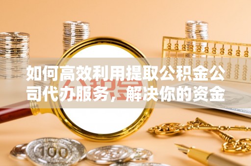 泰顺如何高效利用提取公积金公司代办服务，解决你的资金难题
