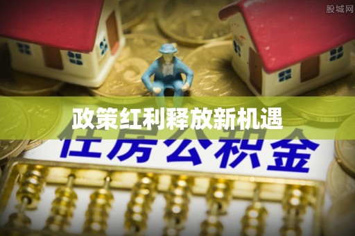 泰顺政策红利释放新机遇