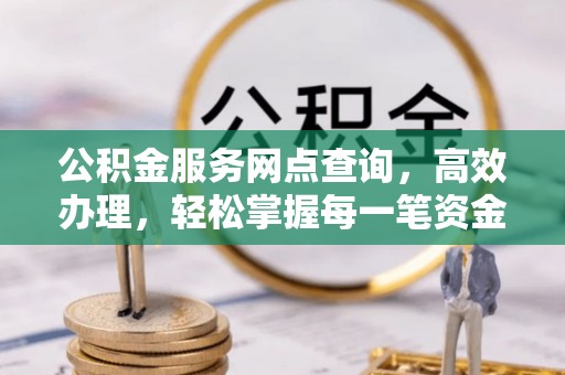 泰顺公积金服务网点查询，高效办理，轻松掌握每一笔资金动态
