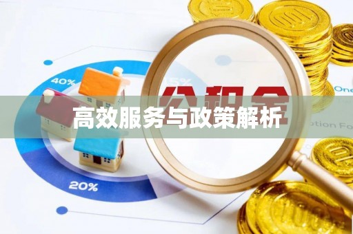 泰顺高效服务与政策解析