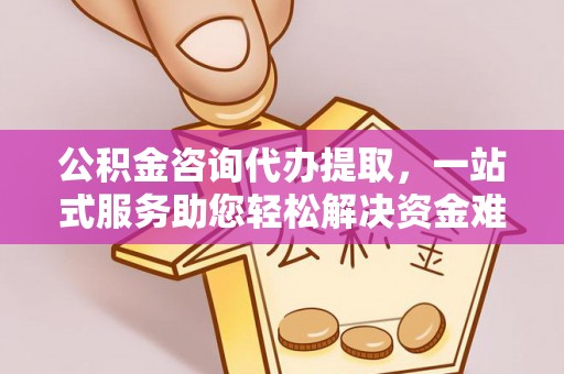 泰顺公积金咨询代办提取，一站式服务助您轻松解决资金难题