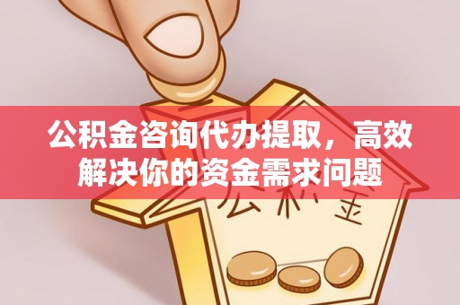 泰顺公积金咨询代办提取，高效解决你的资金需求问题